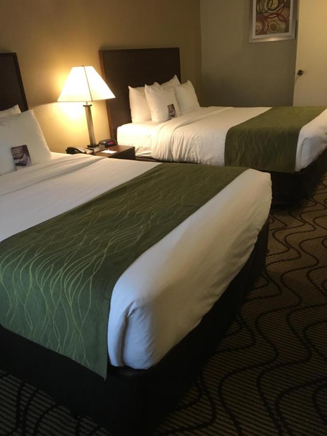 Comfort Inn & Suites Orange County John Wayne Airport Санта-Ана Екстер'єр фото